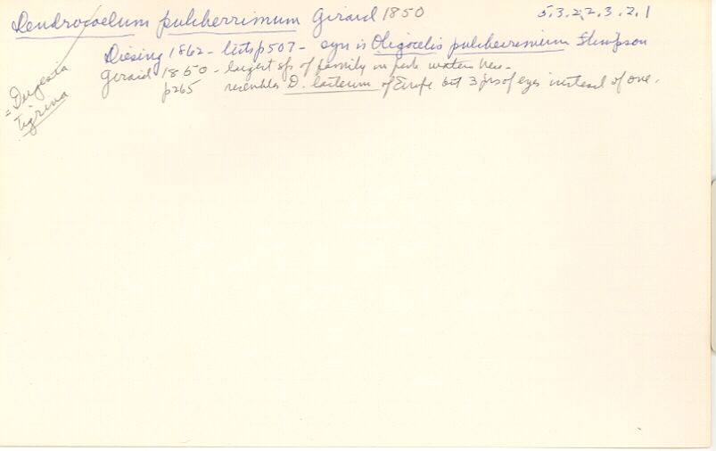 index card