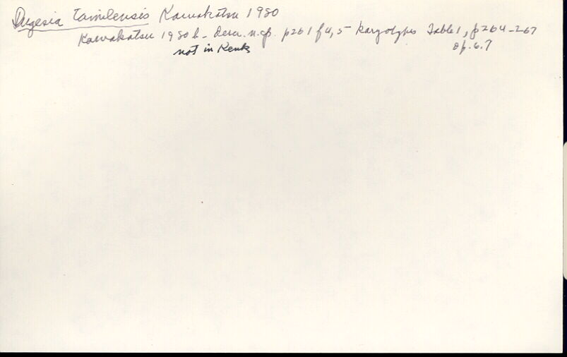 index card