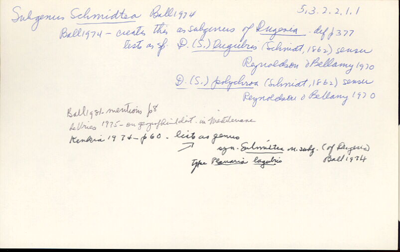 index card