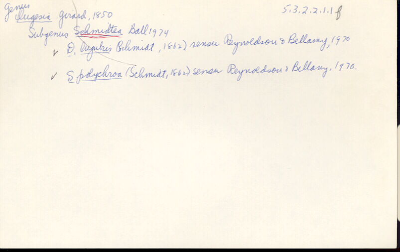 index card