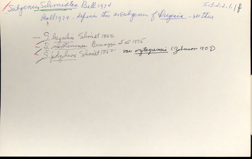 index card