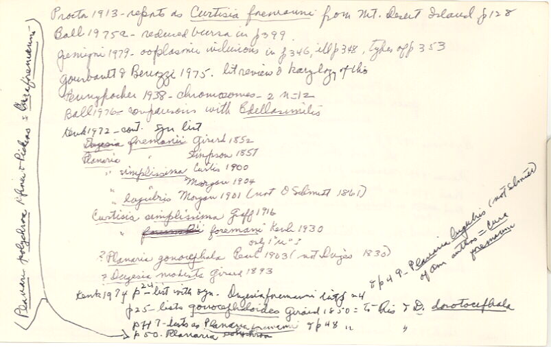 index card