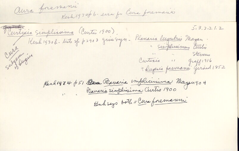 index card