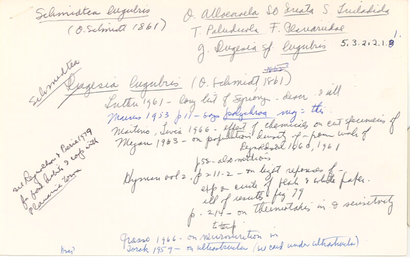 index card