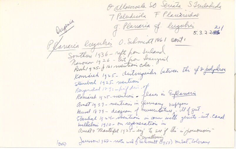 index card