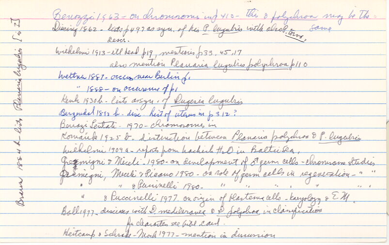 index card