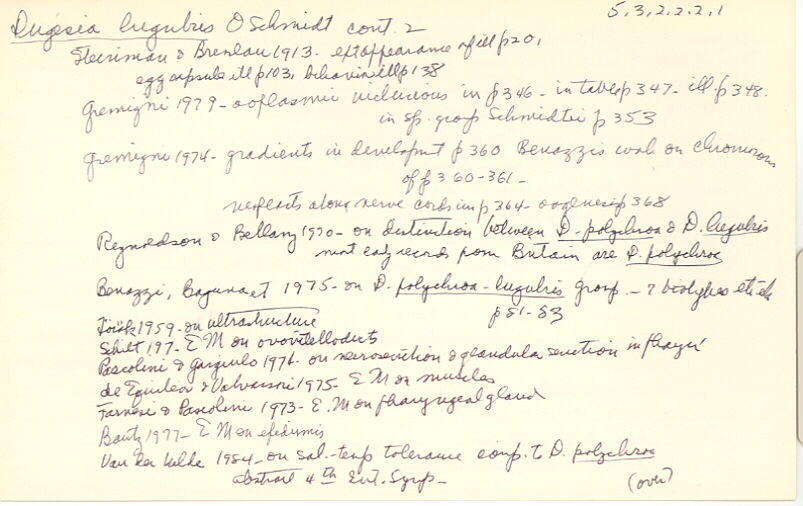 index card