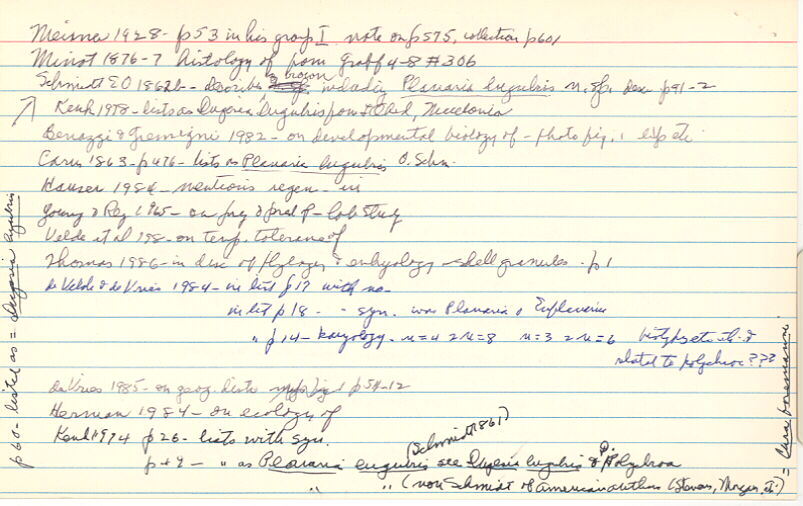 index card