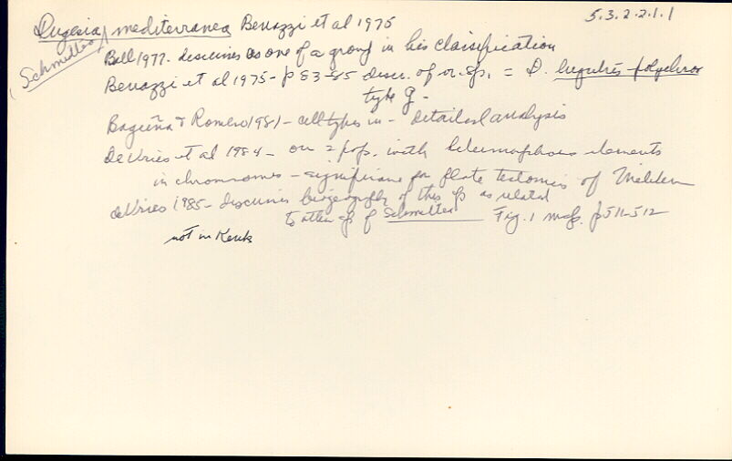 index card
