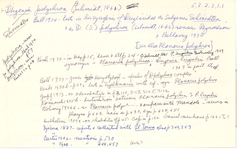index card