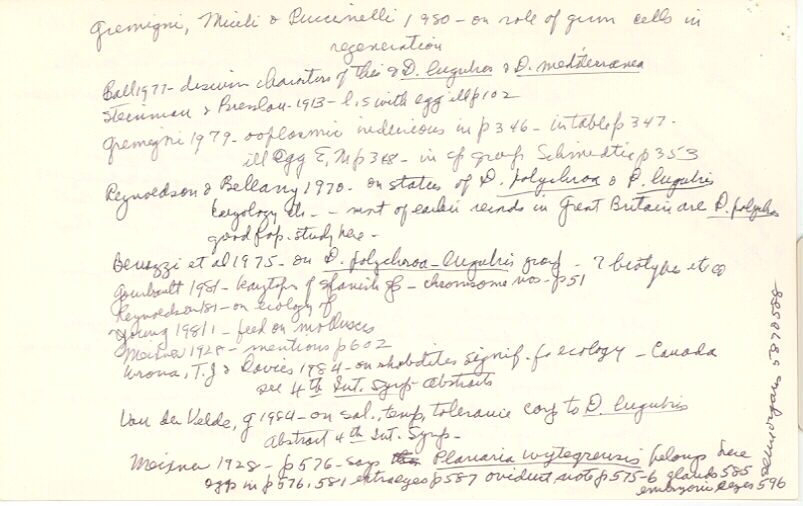 index card