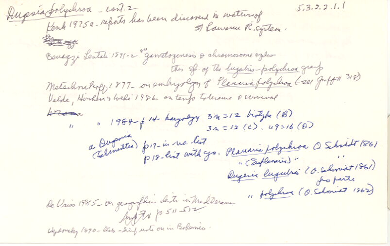 index card