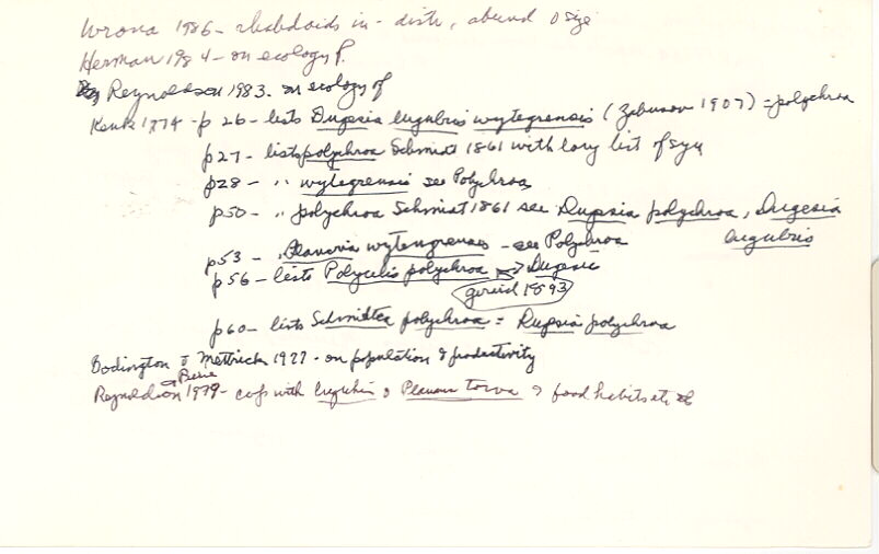 index card