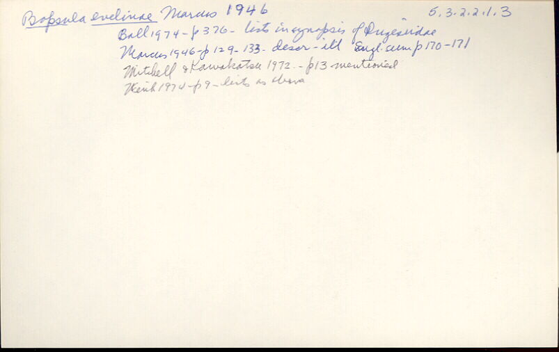 index card