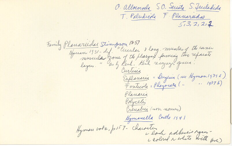 index card
