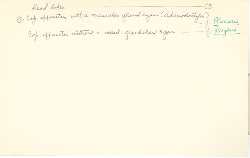 index card