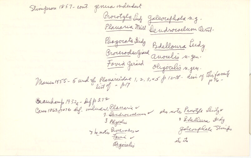 index card
