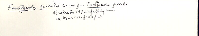 index card