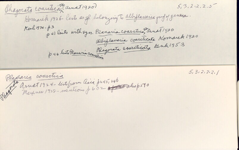 index card