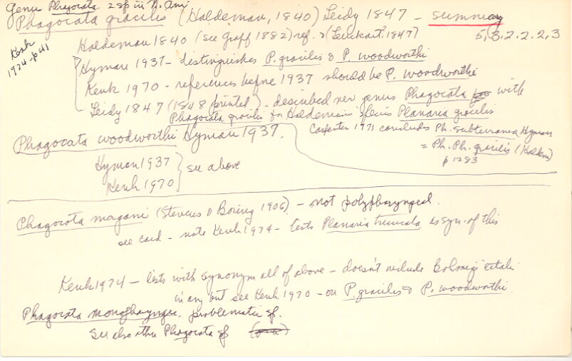 index card