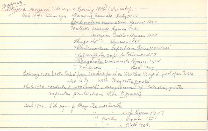 index card