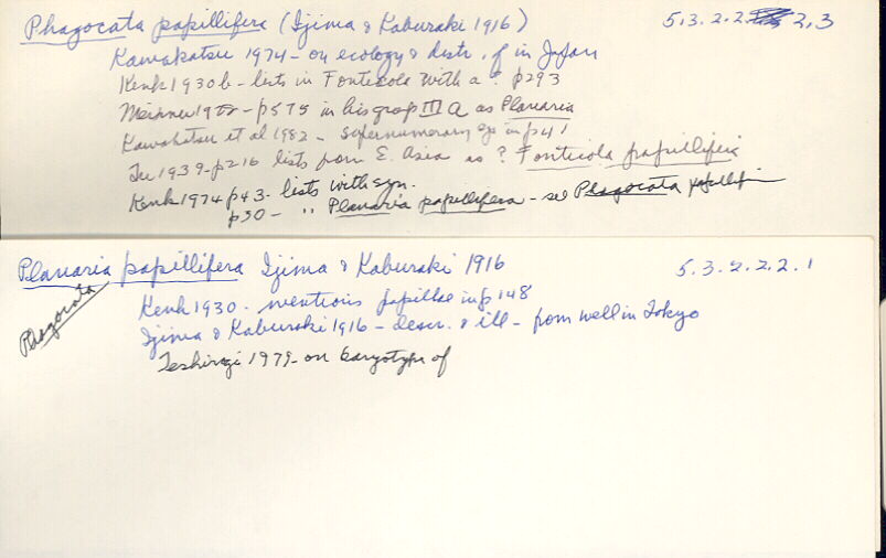 index card