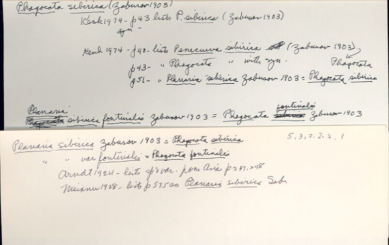 index card