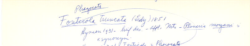 index card