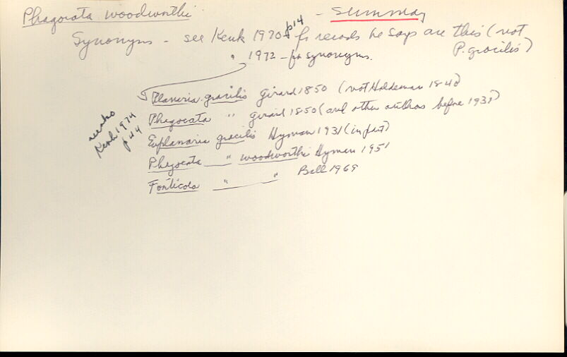 index card