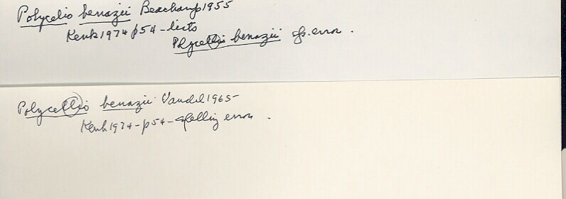 index card