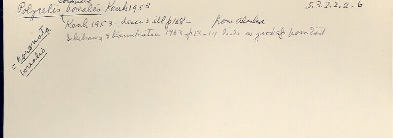 index card