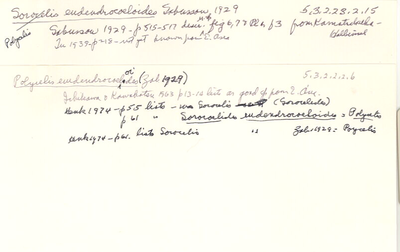 index card