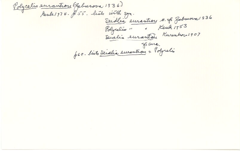 index card