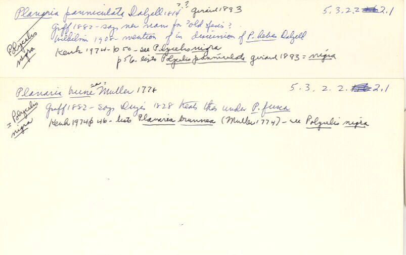 index card