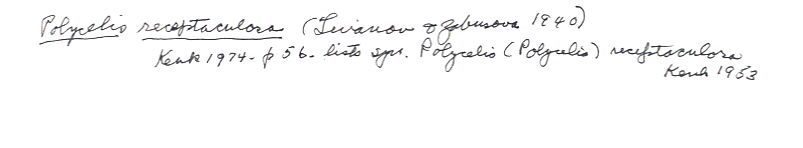 index card