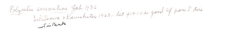 index card