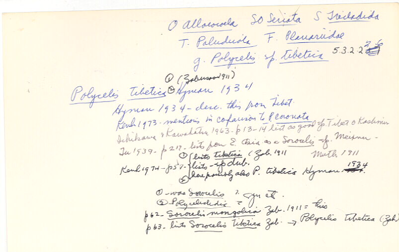 index card