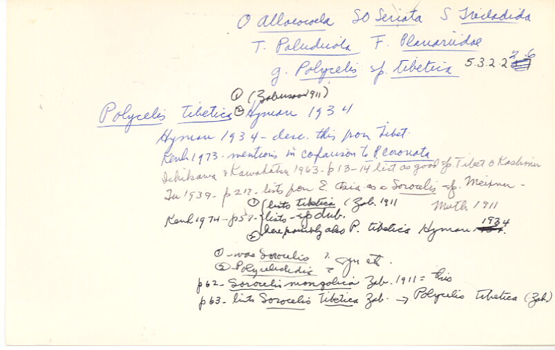 index card