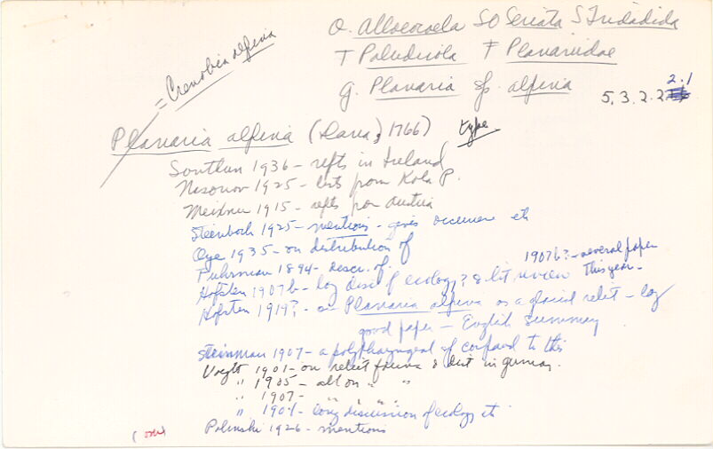 index card