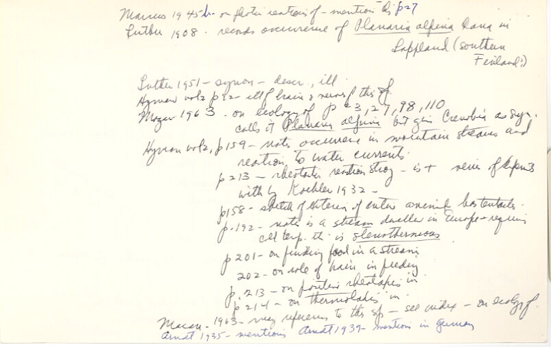 index card