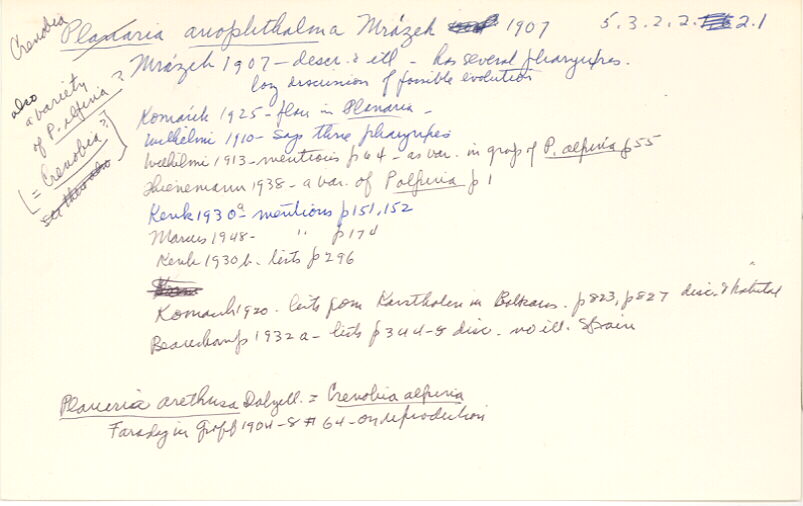 index card