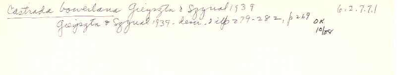 index card