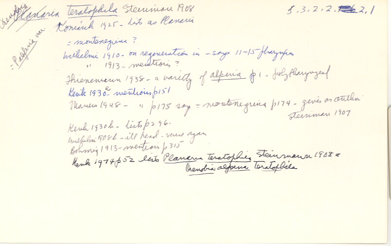 index card