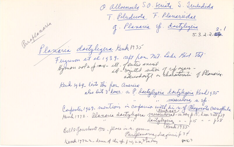 index card