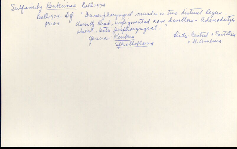 index card