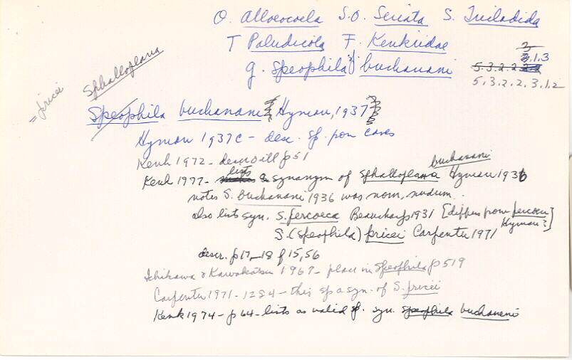 index card