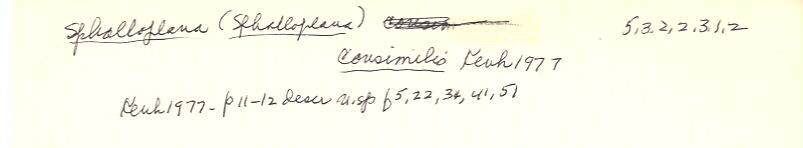index card