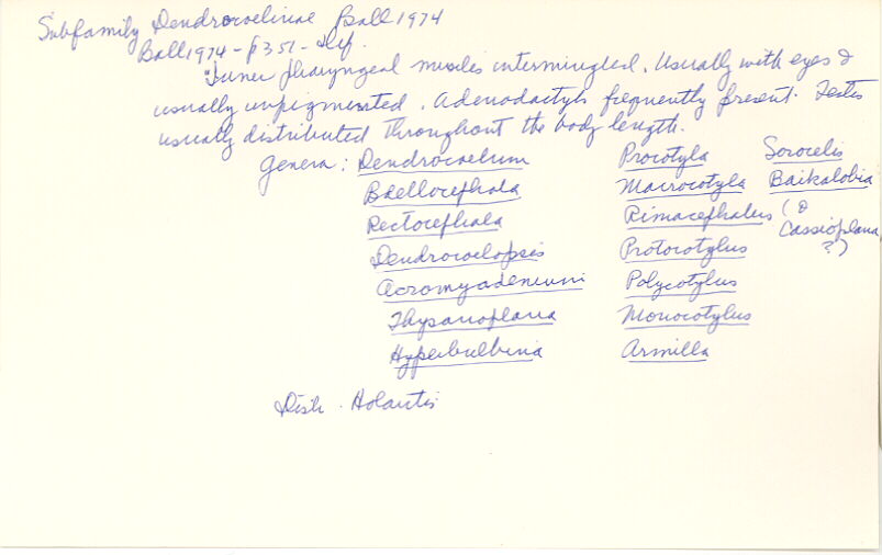index card