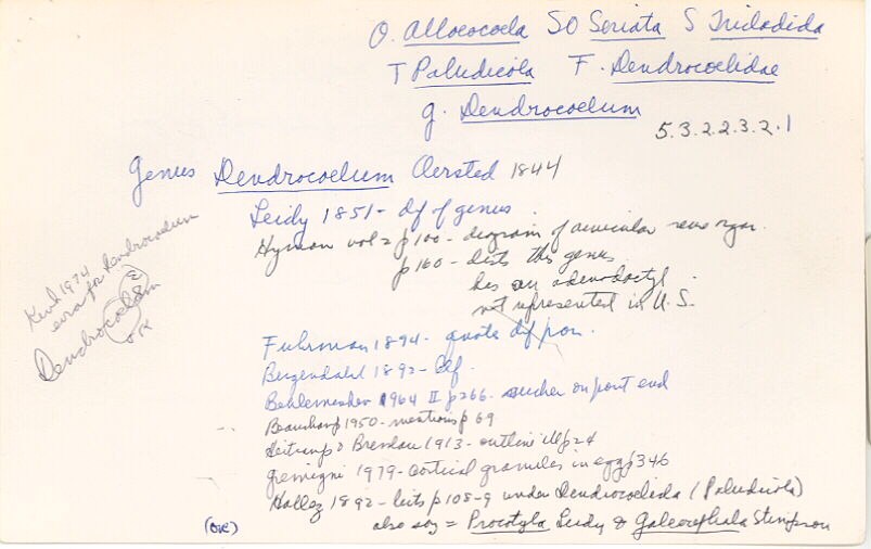 index card
