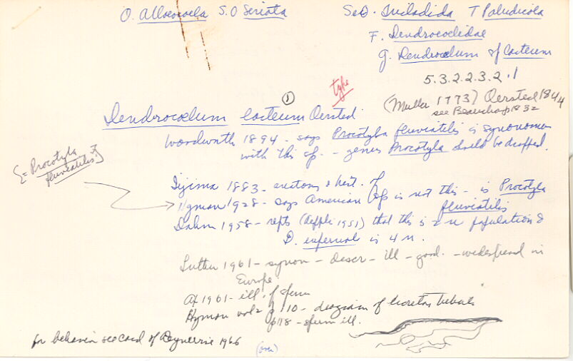 index card